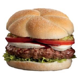 Paragon Halal Economy Beef Burger-48x113g03